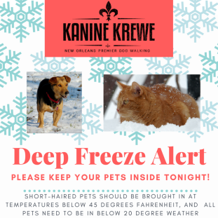 Kanine Krewe Cold Weather Alert