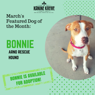 March Featured Dog