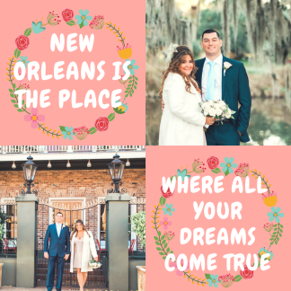 New Orleans dreams x